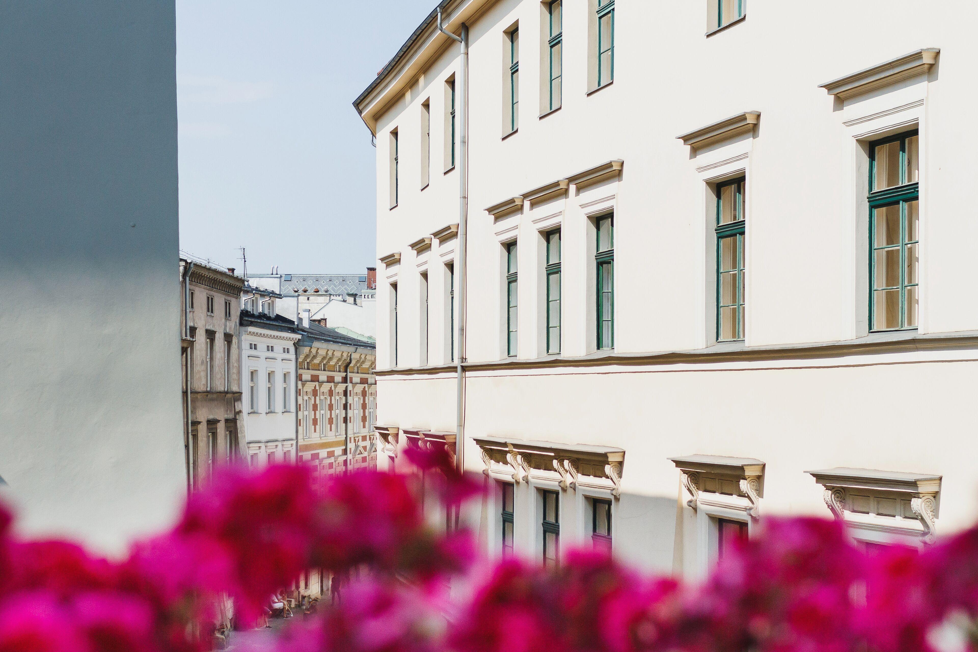 Apartamenty Bracka 6 — Zdjęcia 2